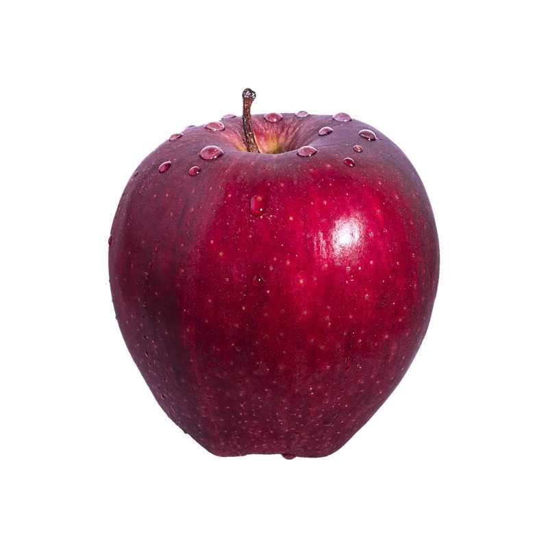 Malus domestica ‘Starking Delicious’