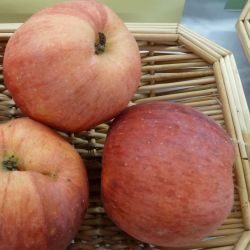 Pommier Querina