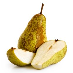 Pyrus communis ‘Abate Fetel‘