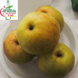 Pommier Grand Mère