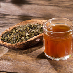 Camellia sinensis ThéOjardin