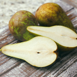 Pyrus communis Conférence
