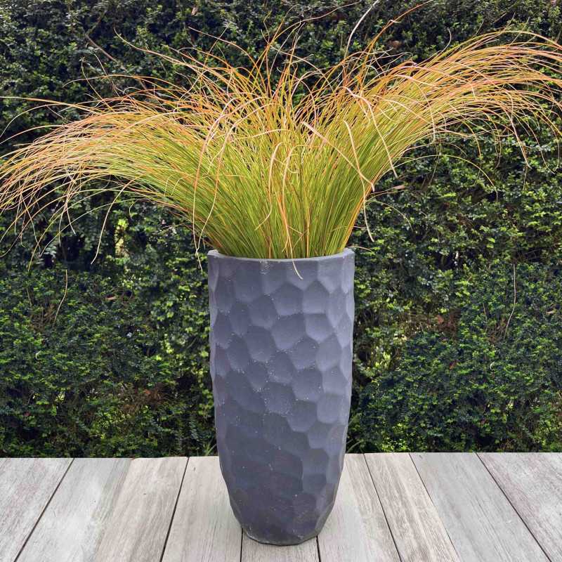 Carex testacea Prairie Fire