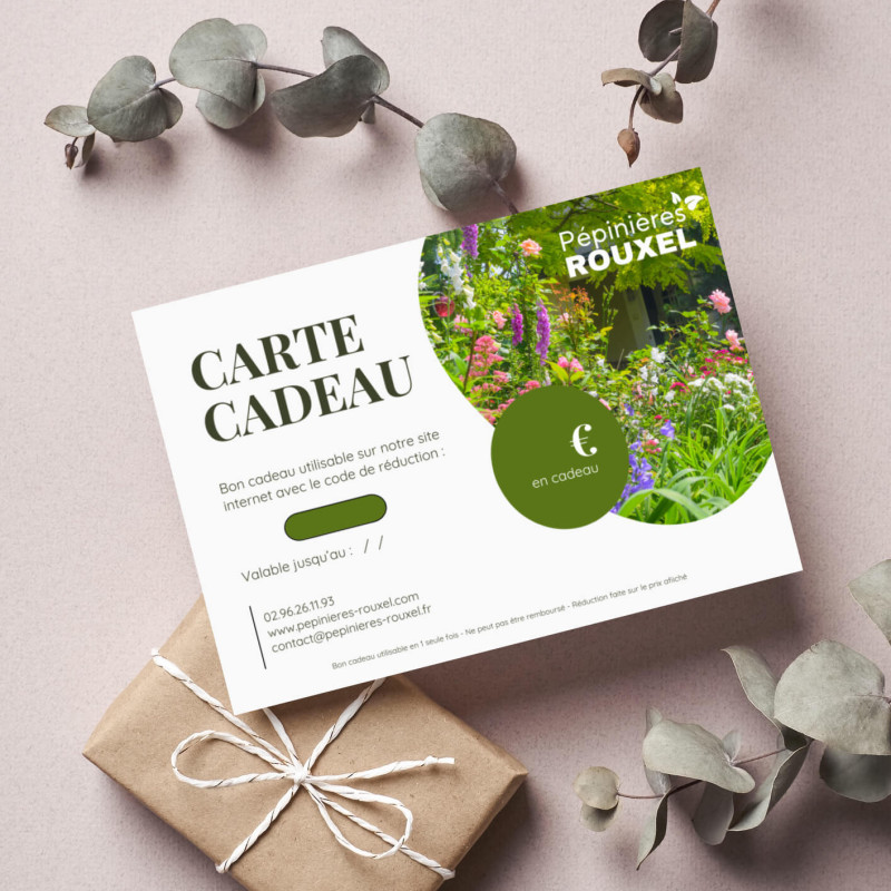 CARTE CADEAU