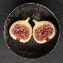 Ficus carica 'Ronde de Bordeaux'