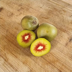 Actinidia 'Red Sun'