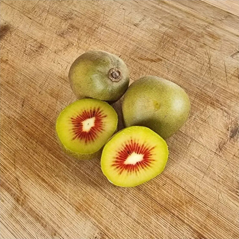 Actinidia 'Red Sun'