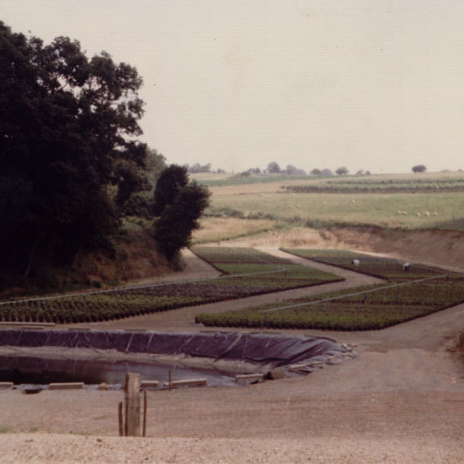 aire-conteneurs-1981-large.jpg