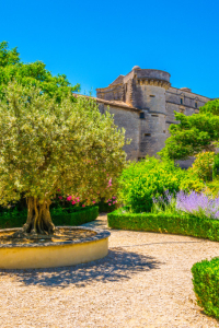 ESCAPADE EN PROVENCE