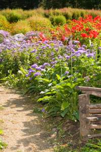 JARDIN DE CAMPAGNE