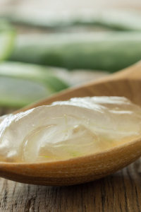 Bienfaits et astuces de plantation de l'Aloé Vera