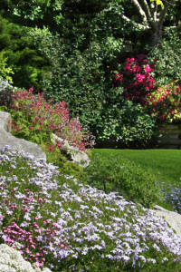 Que planter au mois de mai ? Nos conseils pour un jardin productif et fleuri