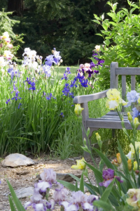 Tendance slow jardin : pourquoi le jardinage fait du bien